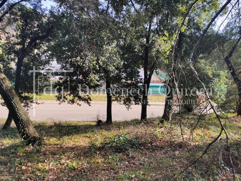 Foto 03f61037-9770-42e8-80ec-3d7b35a2e703. Wohngrundstück in Sant Pere de Vilamajor