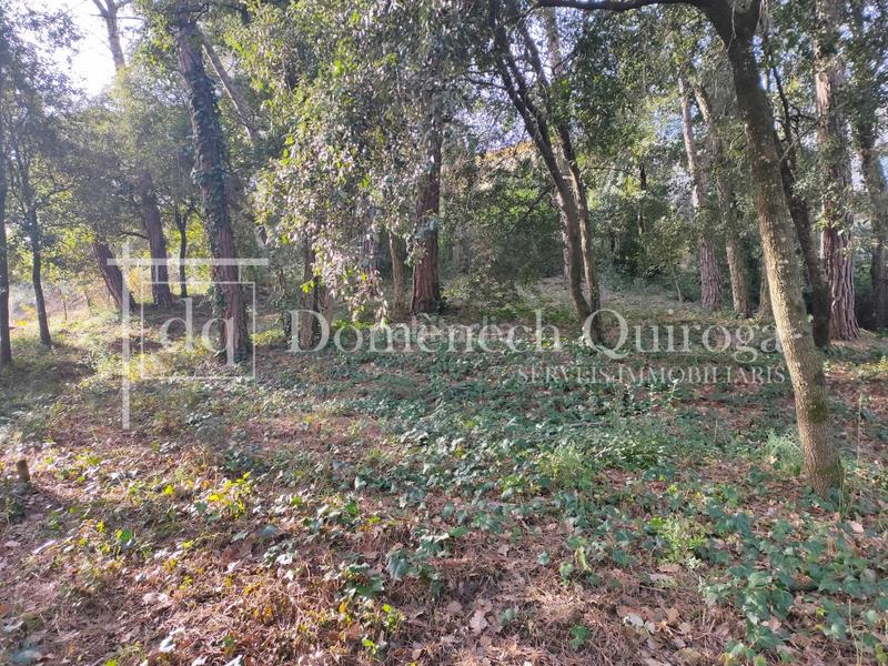 Foto 217e5702-05bb-49fd-a012-8a1b2cddf519. Wohngrundstück in Sant Pere de Vilamajor