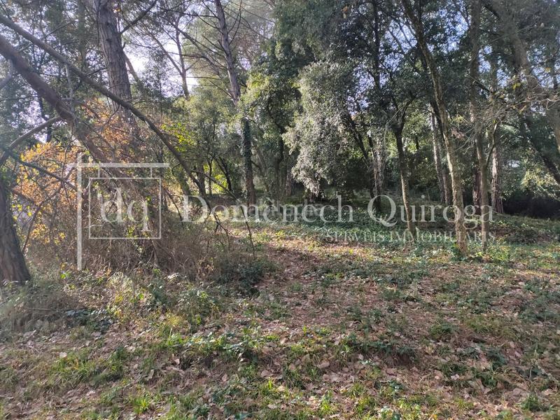 Foto 3a6677d8-820e-4010-9332-c68ea6f61184. Wohngrundstück in Sant Pere de Vilamajor