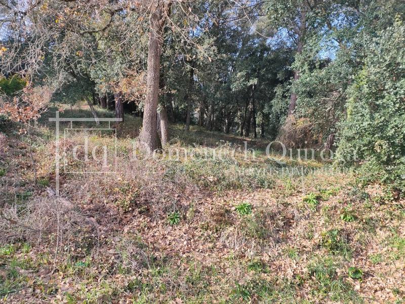 Foto 4b0c233d-de18-42e7-b3d4-5101bec939ad. Wohngrundstück in Sant Pere de Vilamajor