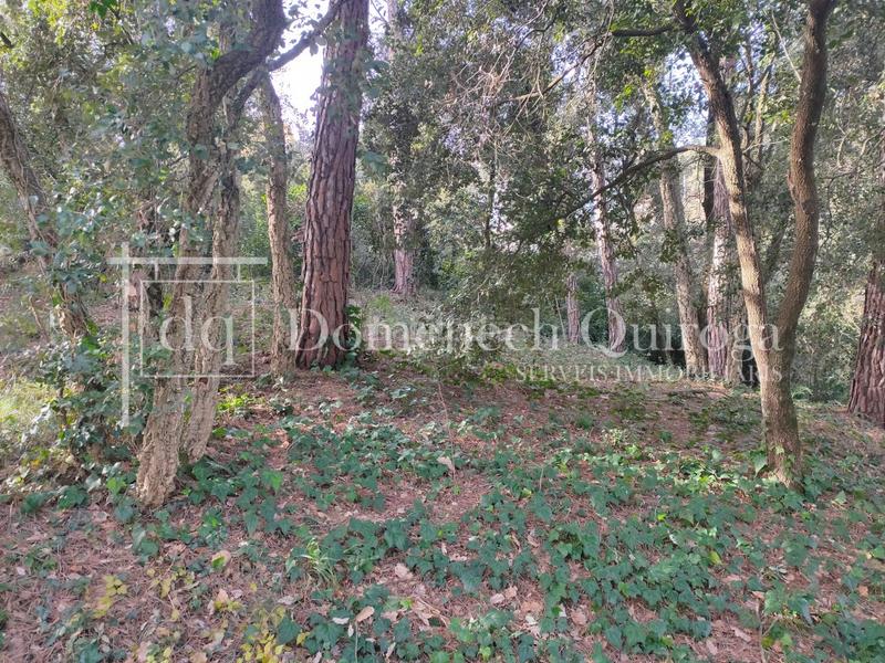 Foto 63c2d719-f8a1-4a68-a1bf-d797bf61ef48. Wohngrundstück in Sant Pere de Vilamajor
