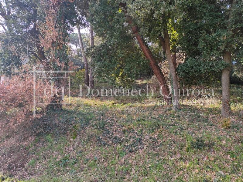 Foto 97ae92d6-41b3-48ee-98b2-4fd9a38d3afb. Wohngrundstück in Sant Pere de Vilamajor