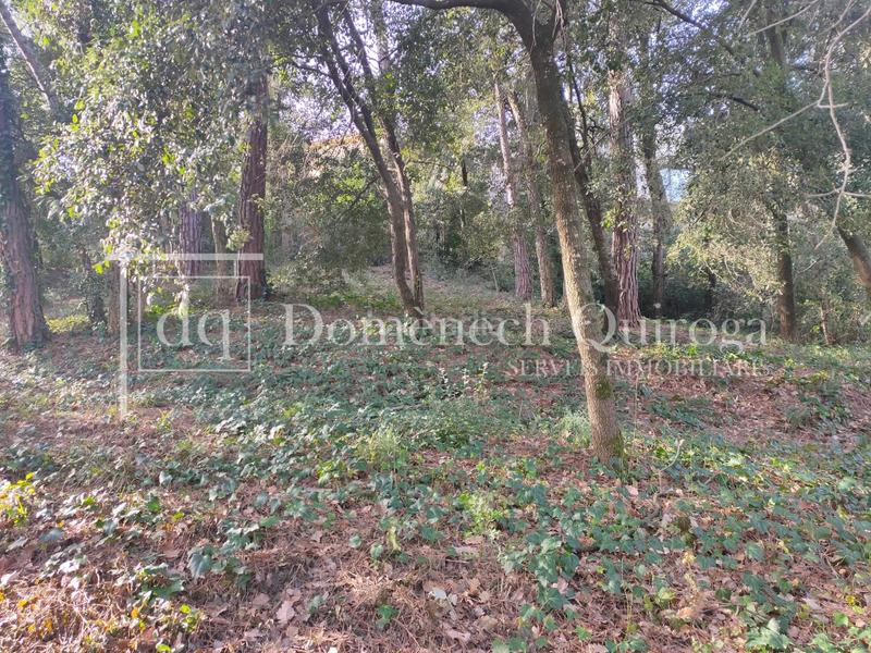 Foto c75e7953-e80d-4312-aaba-6b2a215a3c2e. Wohngrundstück in Sant Pere de Vilamajor