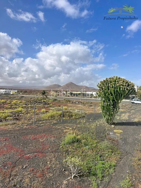 Foto 52df017f-4150-4bf4-9ada-1f9998a9c45a. Pis amb piscina a costa Teguise Teguise
