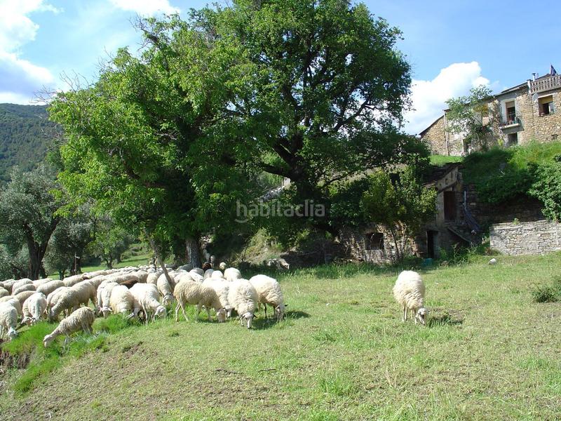 Foto 3012827e-ea36-4b58-8895-9df7ec90454f. Casa a Pueyo de Araguás (El)