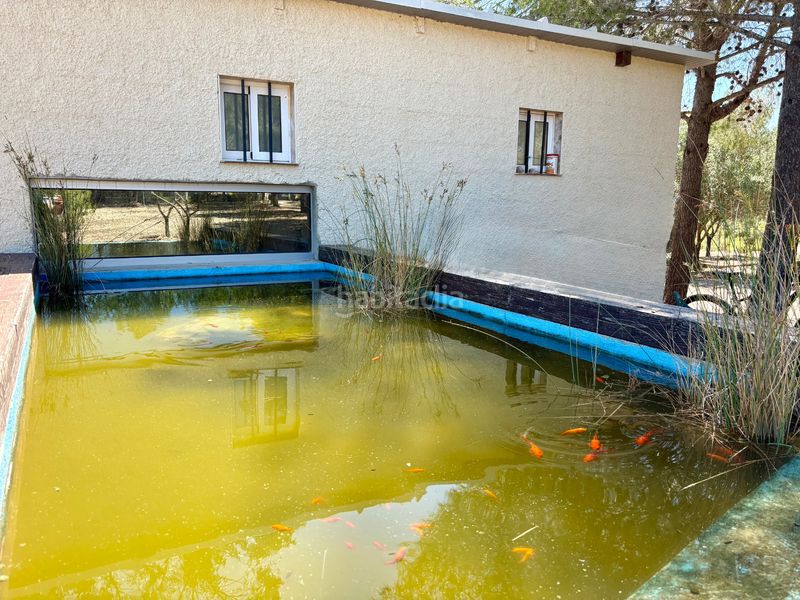 Foto 7ea6a889-b7d3-47e9-ae7f-5deddc358bfc. Chalet avec cheminée chauffage parking piscine dans Cheste