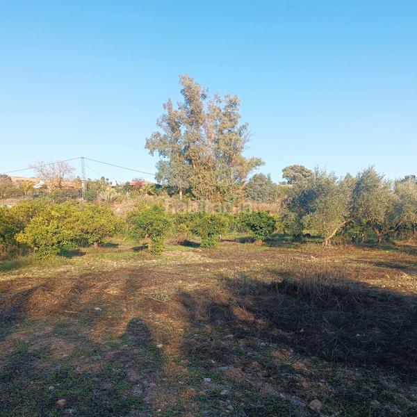 Foto 0d488e10-92ac-4215-8e72-b3e2d410bd67. Finca rústica a calle jara 79 a Coín