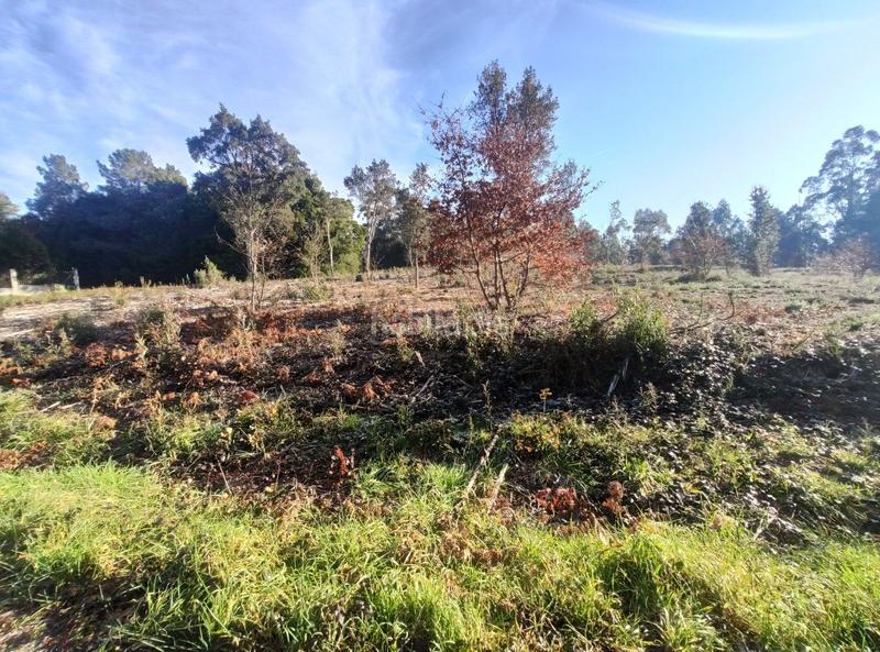 Foto 32b54dc8-26b2-4e83-baeb-35fc0dedfbc3. Terreno residencial en urbanización ferreiriños 25 se vende finca zona ramallosa en Teo