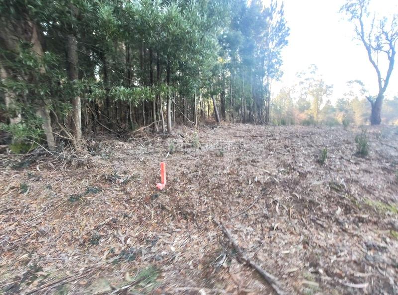 Foto a19cf01c-f594-458a-b342-ed0a9c449f7d. Terreno residencial en urbanización ferreiriños 25 se vende finca zona ramallosa en Teo