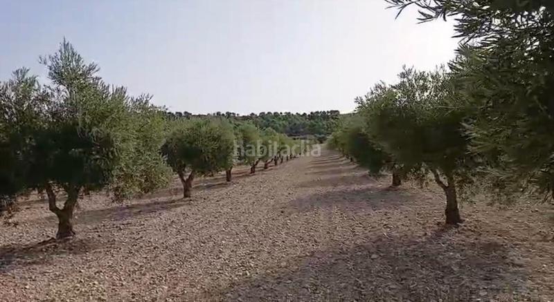 Foto 39021d26-f320-4e3e-98fd-232e620c2103. Terreny residencial a Torrejón de Velasco