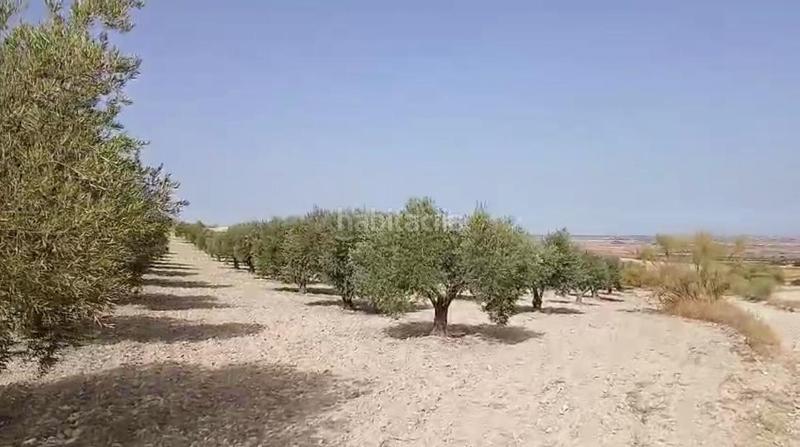 Foto 6aef59cf-84ae-4a09-af7e-ee190bf51629. Terreny residencial a Torrejón de Velasco