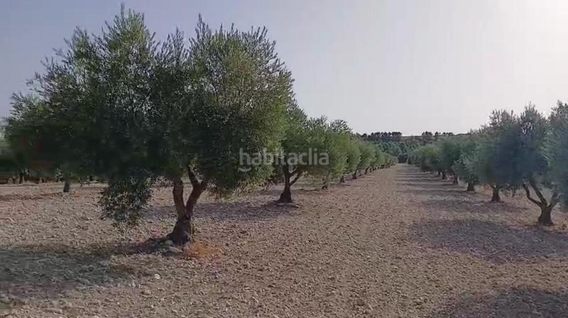 Foto 78bbed3b-6c03-4740-b7af-cffa17036885. Terreny residencial a Torrejón de Velasco