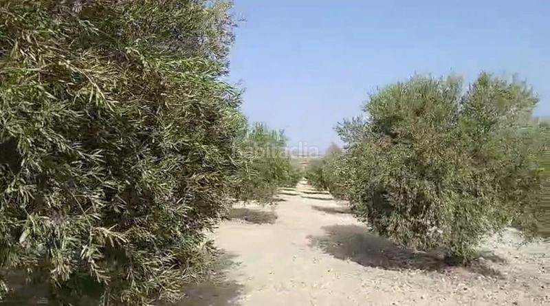 Foto 7c5650be-d7df-4b32-95d9-9fa27c7f3669. Terreny residencial a Torrejón de Velasco