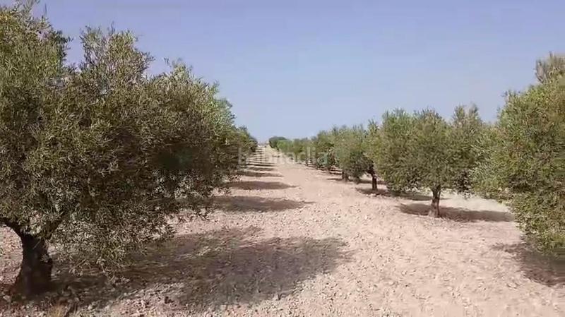 Foto 83925abf-39c3-4f38-9a81-75c6c87a7e68. Terreny residencial a Torrejón de Velasco