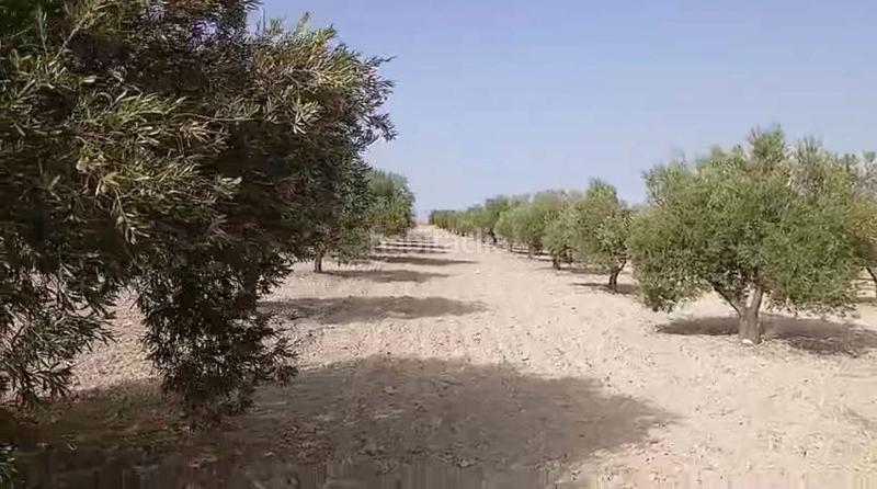 Foto abc886bf-91a2-4d77-a212-9f77c86f00ff. Terreny residencial a Torrejón de Velasco