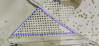 Wohngrundstück  La viña del carmen. Terreno con olivas de 9307 m2 en torrejón de velasco