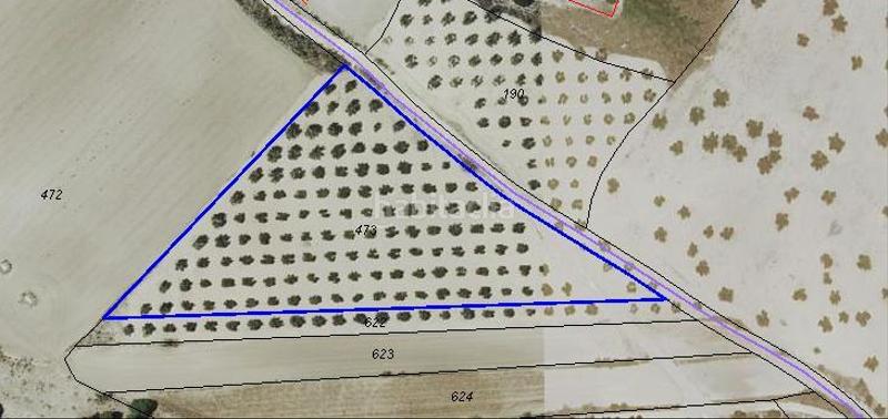 Foto afe022d4-a022-4015-a4f3-98d9825858d5. Terreny residencial a Torrejón de Velasco