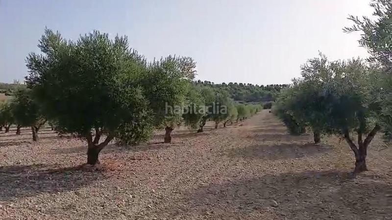 Foto d8d4fc29-f56b-4dc5-b30f-aac193e647bc. Terreny residencial a Torrejón de Velasco