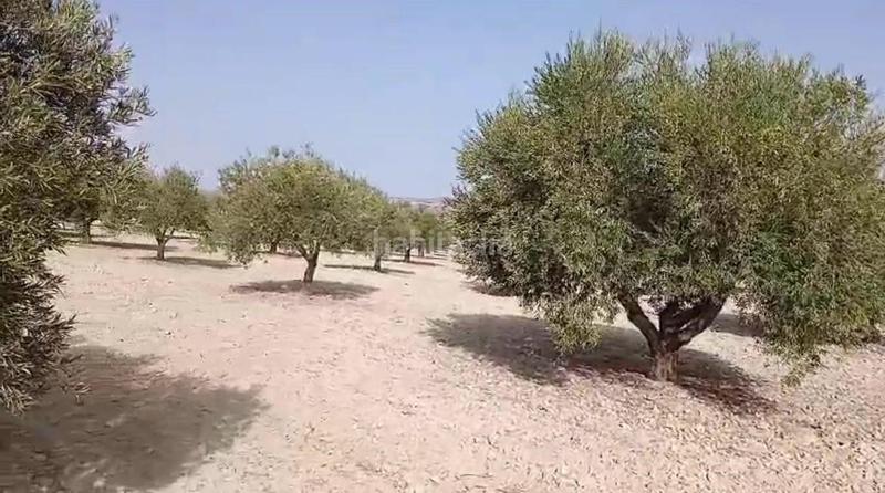 Foto e8515055-841f-4214-9c86-2eb21f10b94f. Terreny residencial a Torrejón de Velasco