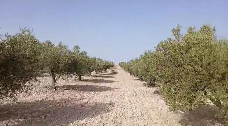 Foto f0bd9ee6-297e-4b23-b30e-b403e98d045d. Terreny residencial a Torrejón de Velasco