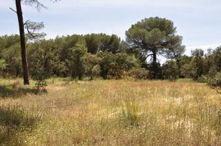 Finca rstica  Calle herrera. Terreno en venta en santinas en tudela de duero