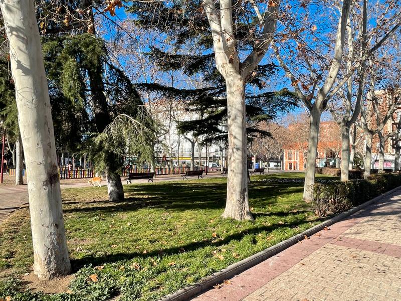 Foto e04f0cdd-ffc1-42dd-9ff9-626a80584730. Affitto appartamento con riscaldamento in Hospital Valladolid