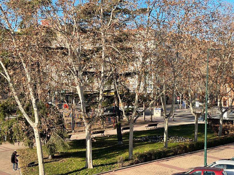 Foto 515796fd-1d2b-4fb6-8aad-0741f64d7278. Location appartement avec chauffage dans Hospital Valladolid