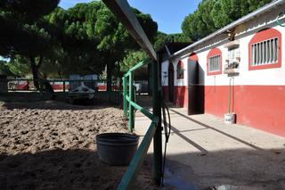 Finca rústica a Tudela de Duero. Venta de terreno en tudela de duero