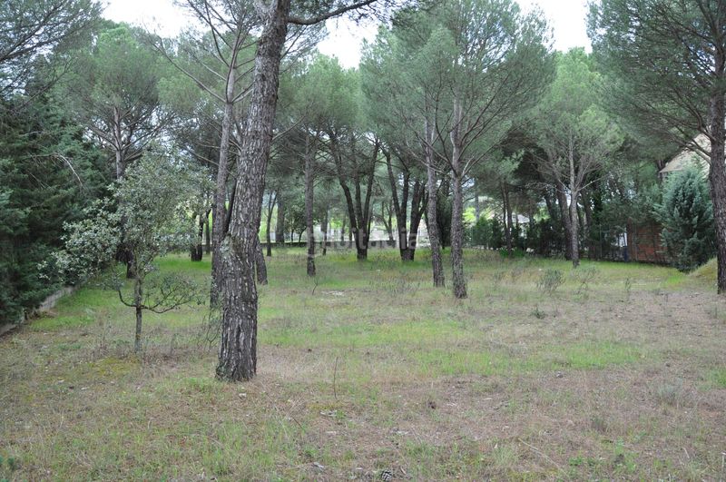 Foto 1f6ce789-a119-45d1-88ee-ce1131860a18. Terrain résidentiel dans carretera aldeamayor 84 dans Tudela de Duero