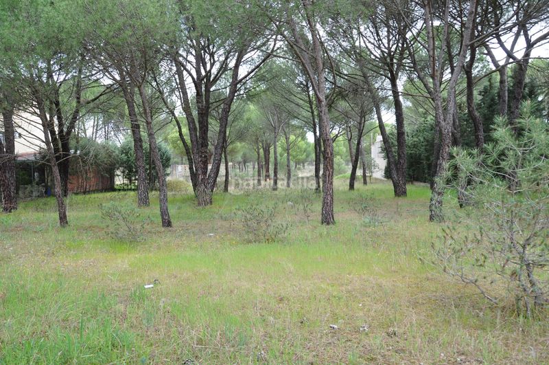 Foto 559c58c7-415e-4ddf-b5e3-8571bce99f0d. Terrain résidentiel dans carretera aldeamayor 84 dans Tudela de Duero