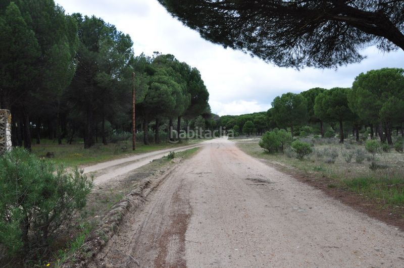 Foto 9392e8b9-d374-4a3a-ba98-d4d372c3384c. Terrain résidentiel dans carretera aldeamayor 84 dans Tudela de Duero