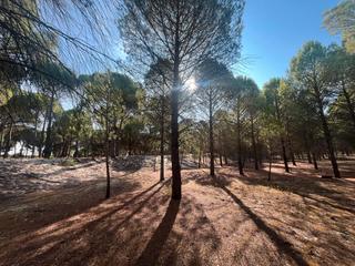 Propriété à Camino pinarillo 1