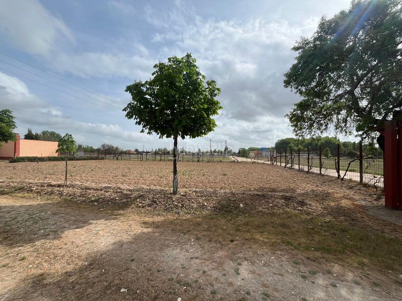 Foto 2d416974-de30-4351-80bf-fd08e4ac91c8. Propriété dans Tudela de Duero