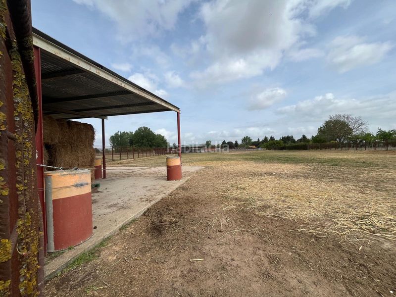 Foto b0ee9f38-6c63-4981-934b-bc0ab177837d. Propriété dans Tudela de Duero