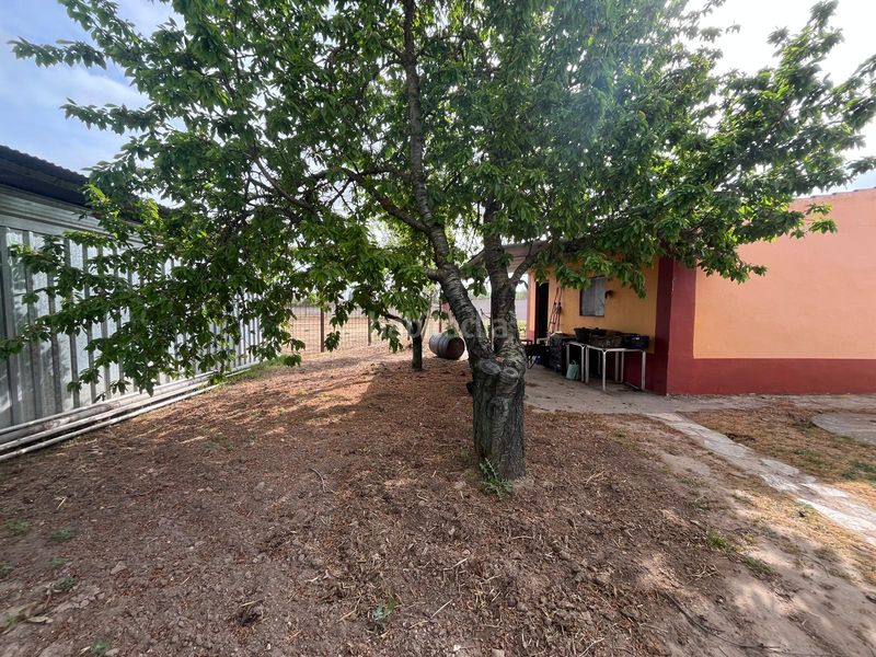 Foto b9f02142-4234-4ad4-bc7f-55efbe38be4a. Propriété dans Tudela de Duero