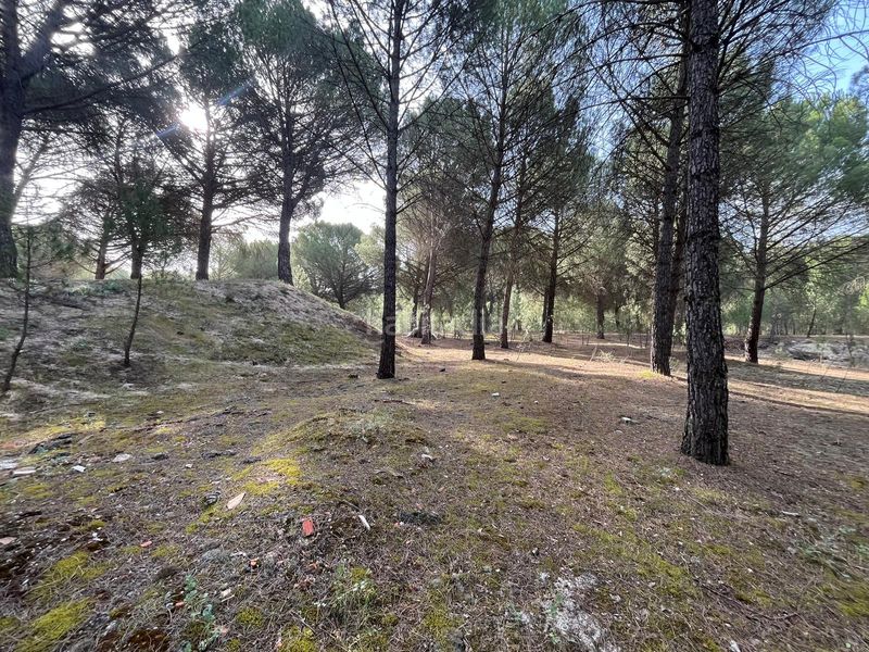 Foto 0ad2f6ec-e501-4ee9-9e44-789c519127c5. Propriété dans camino valverde 4b dans Tudela de Duero