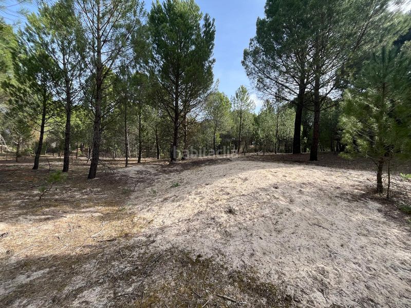 Foto 28a79c73-f8c7-4c22-a777-8f273264805b. Propriété dans camino valverde 4b dans Tudela de Duero