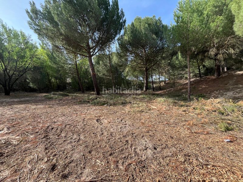 Foto 46ba728f-a991-4838-ba73-1ff604c89e09. Propriété dans camino valverde 4b dans Tudela de Duero