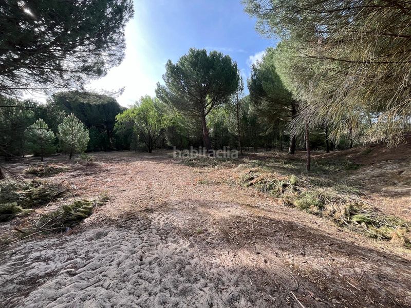 Foto 46fe3a6d-38af-4f06-9889-4ff6431e8bf3. Propriété dans camino valverde 4b dans Tudela de Duero