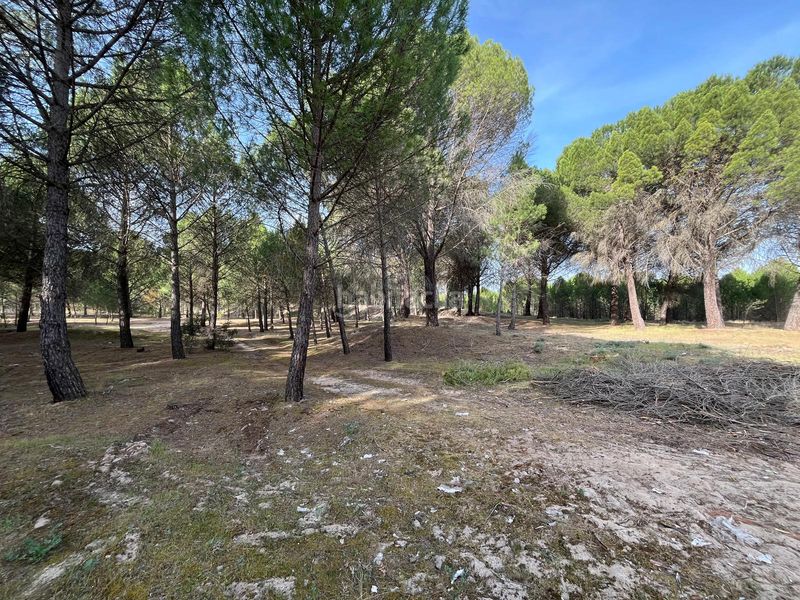 Foto 50fa2465-dcd6-4c4e-8626-94617184f713. Propriété dans camino valverde 4b dans Tudela de Duero