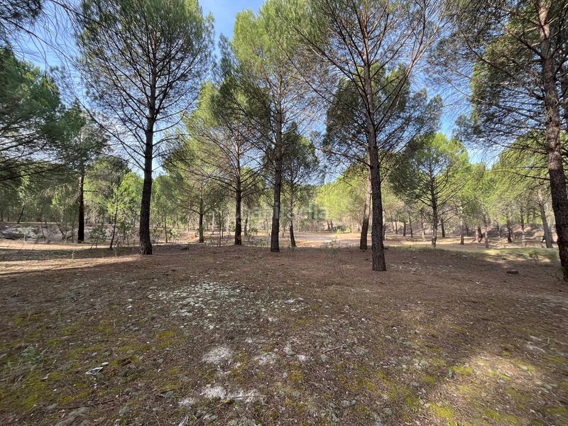 Foto 569eca86-0670-4588-acf4-9adf98d96314. Propriété dans camino valverde 4b dans Tudela de Duero