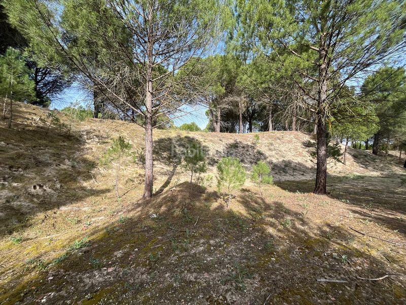 Foto 7fb439da-dd2d-4bbe-a6fa-d31eda57d25b. Propriété dans camino valverde 4b dans Tudela de Duero