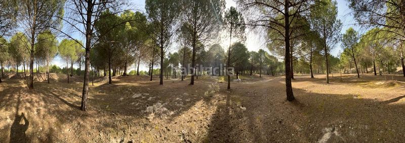 Foto 9f6586c8-2d6a-4cb9-9459-3b0a0d210f19. Propriété dans camino valverde 4b dans Tudela de Duero