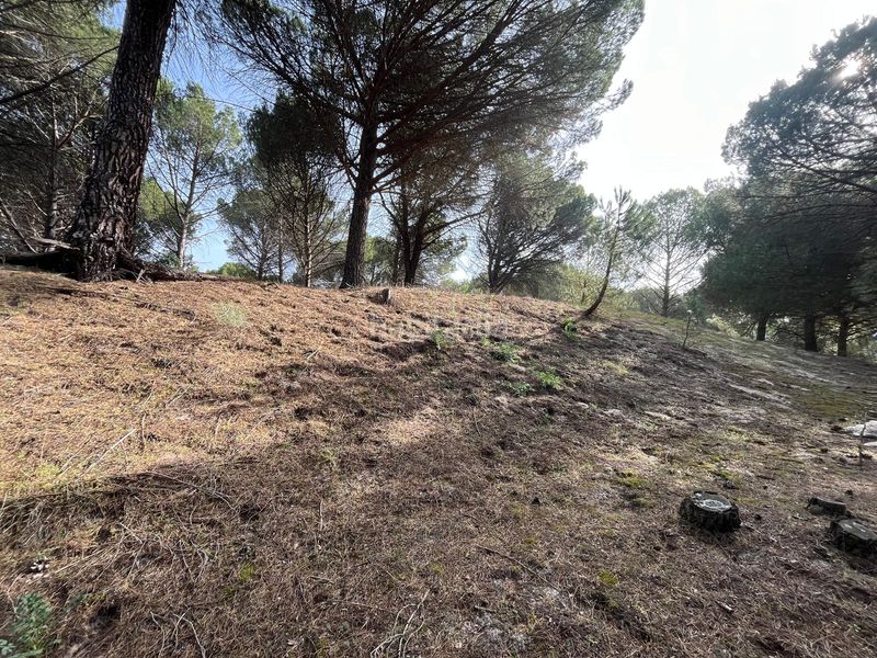 Foto a4e7e03c-ff31-4bc1-8f71-2bbf717dd541. Propriété dans camino valverde 4b dans Tudela de Duero