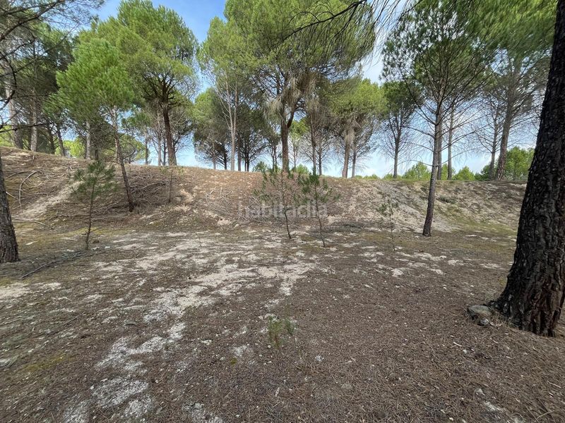 Foto c43e8b13-b9d1-4eb9-a864-90063559f25c. Propriété dans camino valverde 4b dans Tudela de Duero