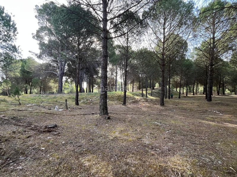 Foto d33f7d98-722b-4b0e-9e79-b8a920421113. Propriété dans camino valverde 4b dans Tudela de Duero