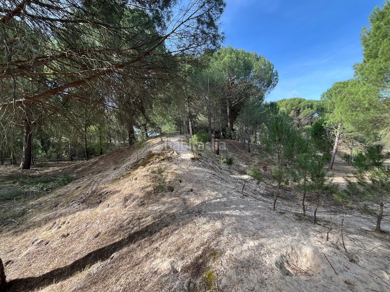 Foto e3ec6b87-2e2a-4343-8c8a-026eb78e3561. Propriété dans camino valverde 4b dans Tudela de Duero