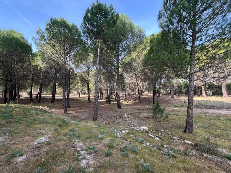 Foto f141393c-4b6c-4e2f-bf2e-1c2fd2d00735. Propriété dans camino valverde 4b dans Tudela de Duero