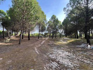 Landgut in Camino valverde 4b