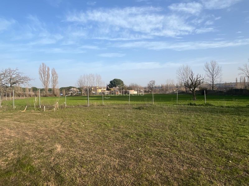 Foto 8f2dfba9-4168-41fa-a4d5-3fc07794d94c. Finca rústica a Tudela de Duero